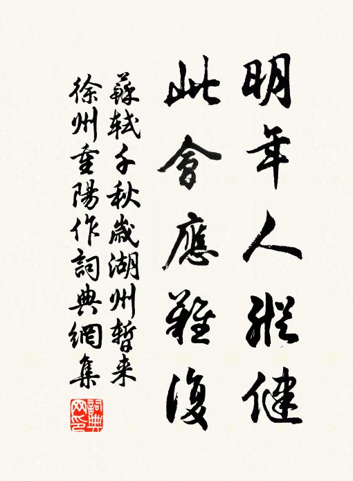 苏轼明年人纵健，此会应难复书法作品欣赏