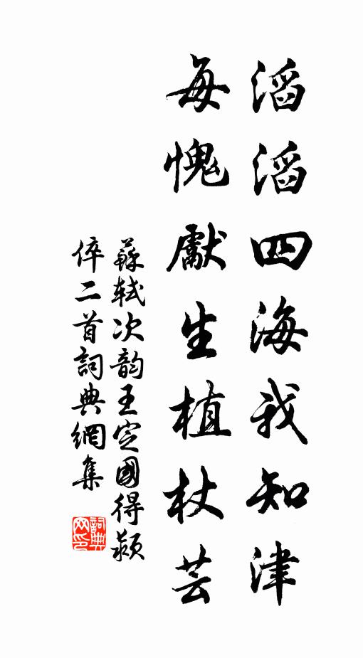 苏轼滔滔四海我知津，每愧先生植杖芸书法作品欣赏