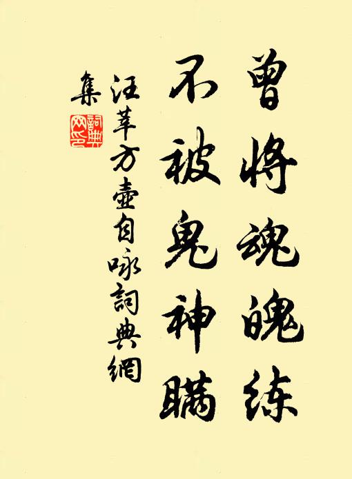 汪莘曾将魂魄练，不被鬼神瞒书法作品欣赏