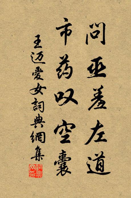 王迈问巫羞左道，市药叹空囊书法作品欣赏