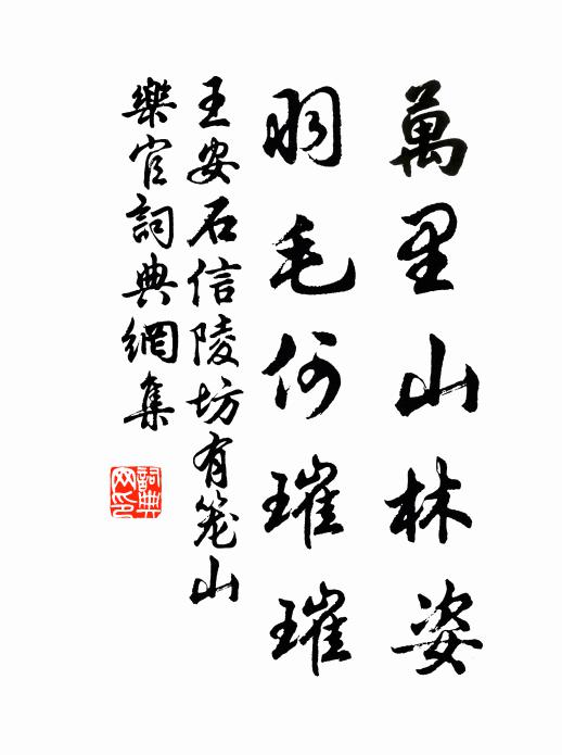 王安石万里山林姿，羽毛何璀璀书法作品欣赏