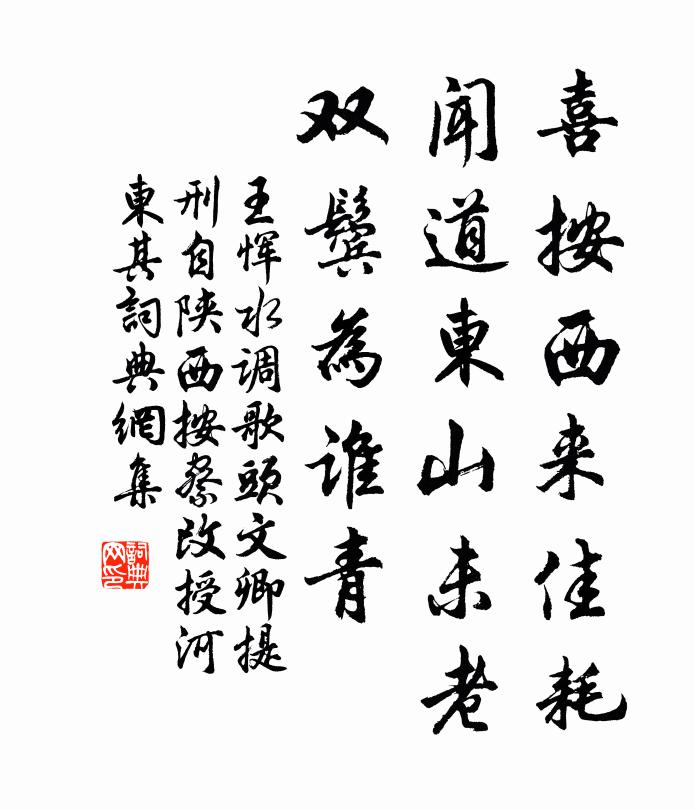 王恽喜按西来佳耗，闻道东山未老，双鬓为谁青书法作品欣赏