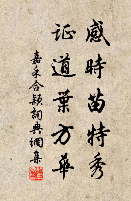 佚名感时苗特秀，证道叶方华书法作品欣赏
