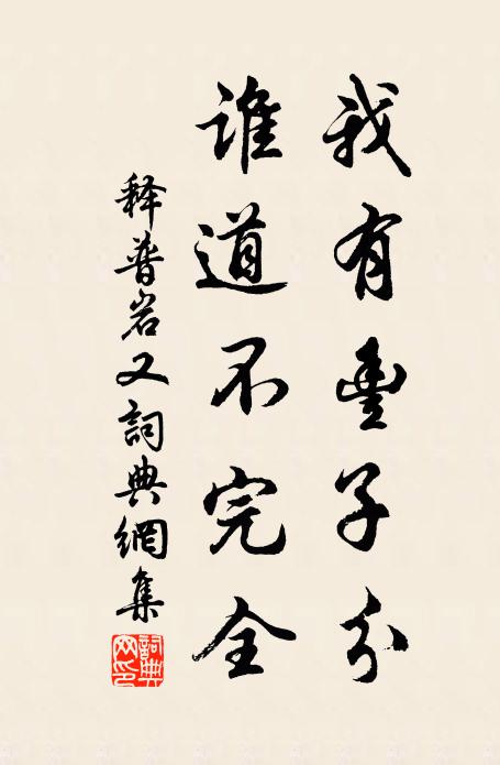 释普岩我有丰子分，谁道不完全书法作品欣赏