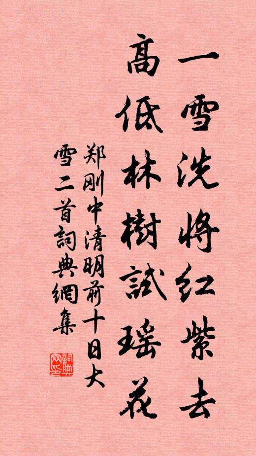 郑刚中一雪洗将红紫去，高低林树试瑶花书法作品欣赏