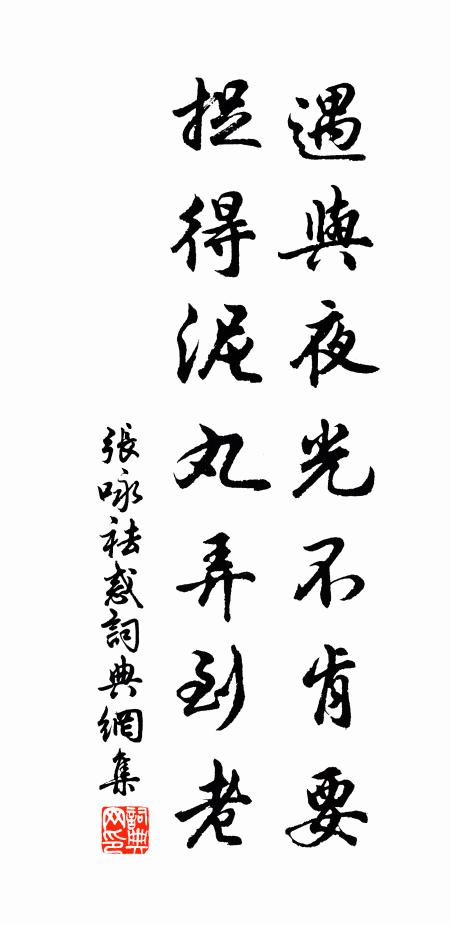 张咏遇与夜光不肯要，捉得泥丸弄到老书法作品欣赏
