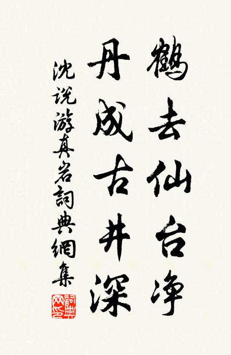 沈说鹤去仙台净，丹成古井深书法作品欣赏
