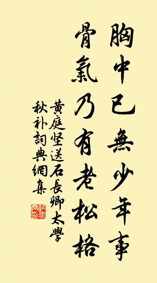 黄庭坚胸中已无少年事，骨气乃有老松格书法作品欣赏