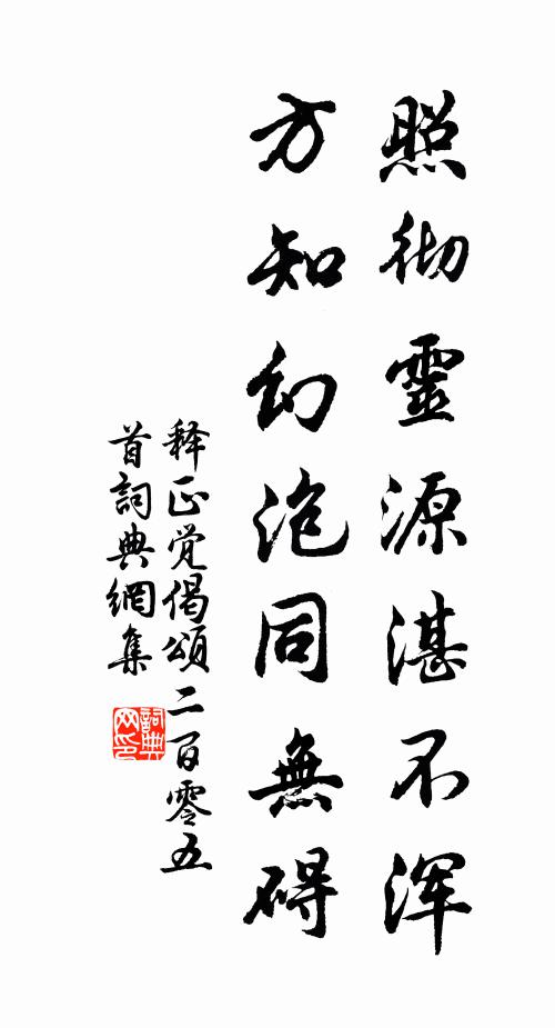 释正觉照彻灵源湛不浑，方知幻泡同无碍书法作品欣赏
