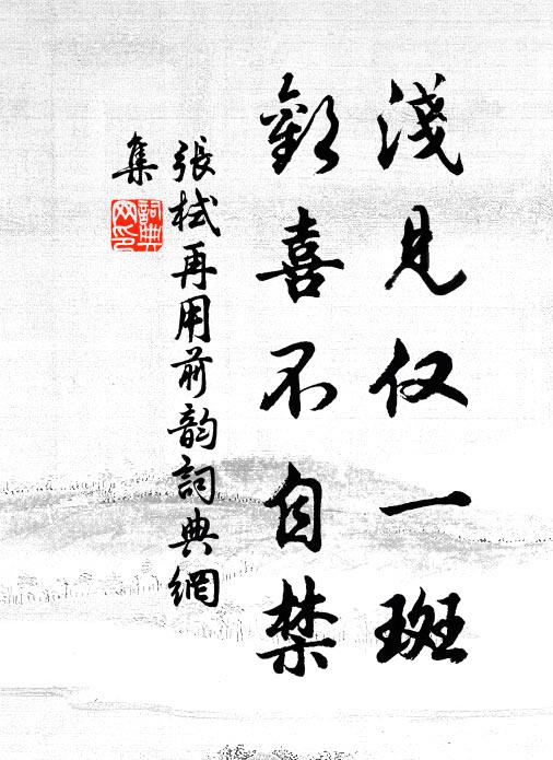 张栻浅见仅一斑，欢喜不自禁书法作品欣赏
