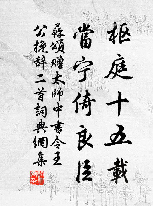 苏颂枢庭十五载，当宁倚良臣书法作品欣赏