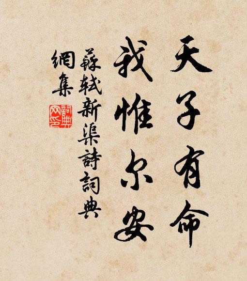 苏轼天子有命，我惟尔安书法作品欣赏