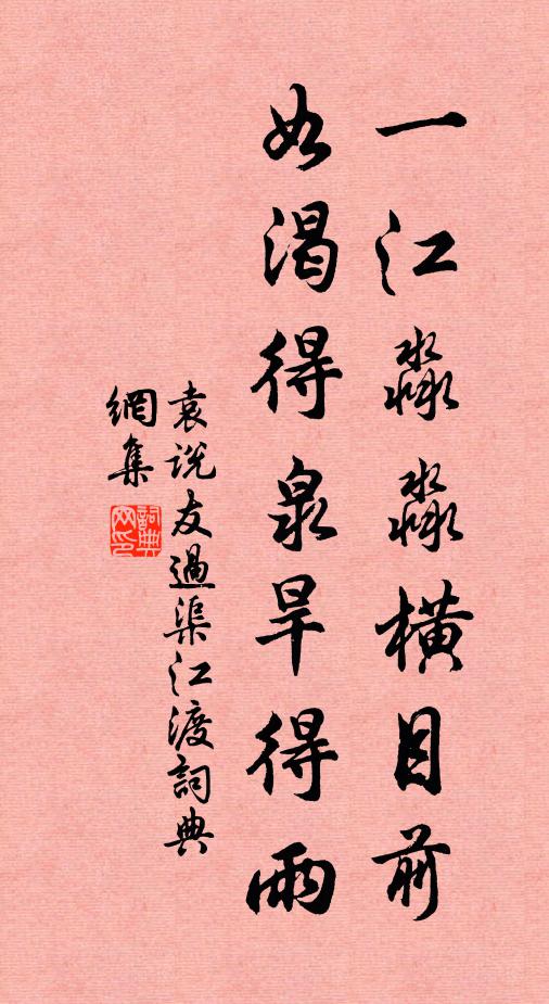 袁说友一江淼淼横目前，如渴得泉旱得雨书法作品欣赏