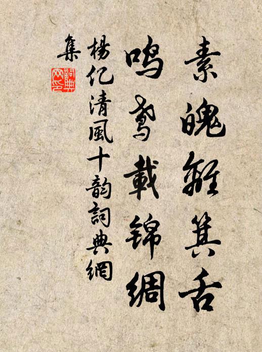 杨亿素魄离箕舌，鸣鸢载锦绸书法作品欣赏