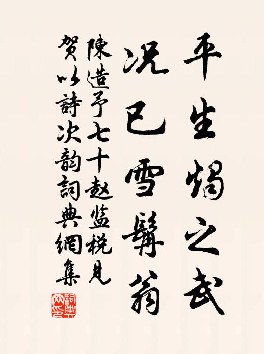 陈造平生烛之武，况已雪髯翁书法作品欣赏