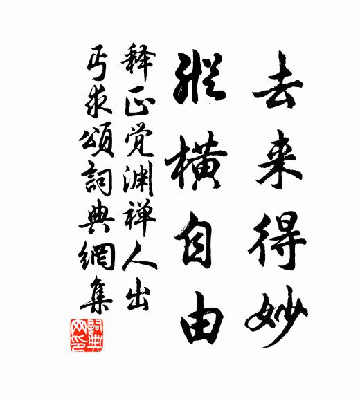 释正觉去来得妙，纵横自由书法作品欣赏
