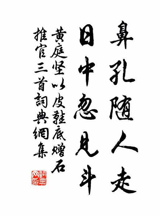 黄庭坚鼻孔随人走，日中忽见斗书法作品欣赏