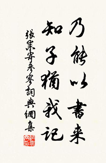 张耒乃能以书来，知子犹我记书法作品欣赏