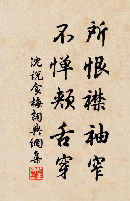 沈说所恨襟袖窄，不惮颊舌穿书法作品欣赏