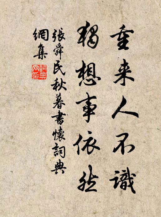 张舜民重来人不识，独想事依然书法作品欣赏