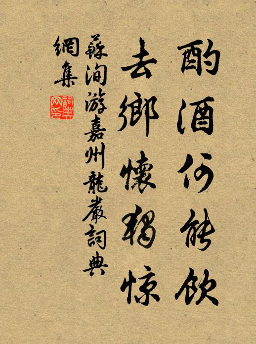 苏洵酌酒何能饮，去乡怀独惊书法作品欣赏