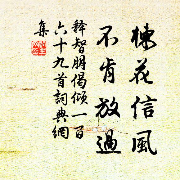 释智朋楝花信风，不肯放过书法作品欣赏