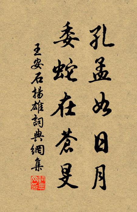 王安石孔孟如日月，委蛇在苍旻书法作品欣赏