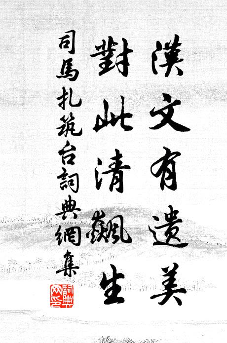 司马扎汉文有遗美，对此清飙生书法作品欣赏