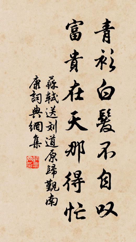 苏轼青衫白发不自叹，富贵在天那得忙书法作品欣赏