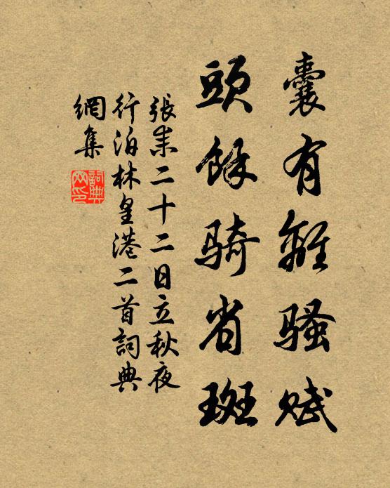 张耒囊有离骚赋，头余骑省斑书法作品欣赏