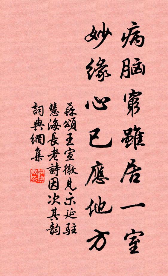 苏颂病脑穷虽居一室，妙缘心已应他方书法作品欣赏