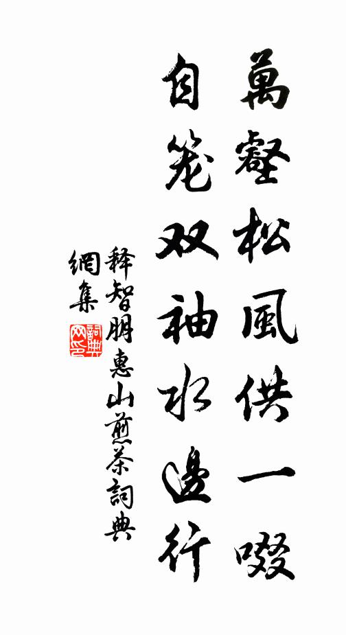 释智朋万壑松风供一啜,自笼双袖水边行书法作品欣赏