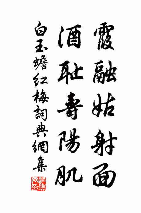 白玉蟾霞融姑射面，酒耻寿阳肌书法作品欣赏