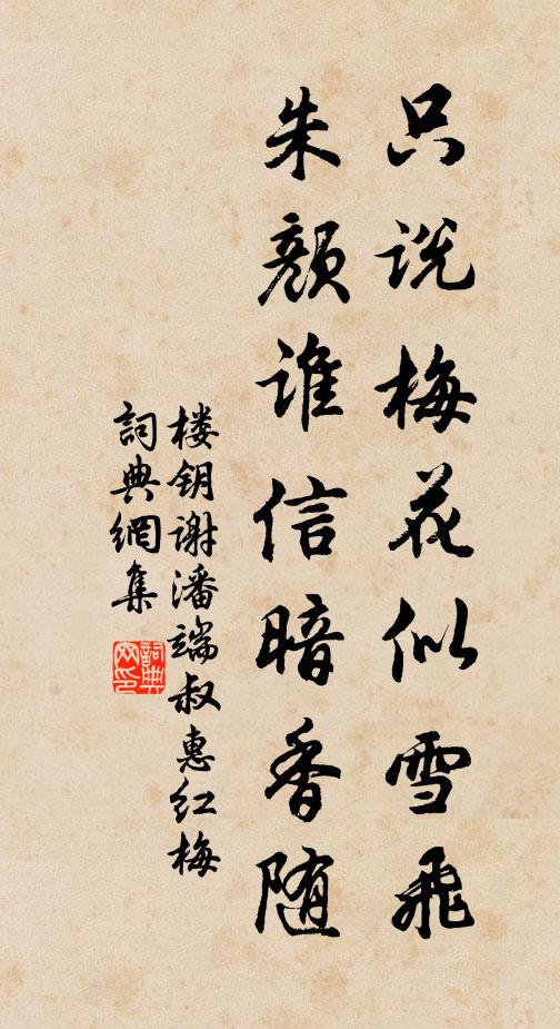 楼钥只说梅花似雪飞，朱颜谁信暗香随书法作品欣赏