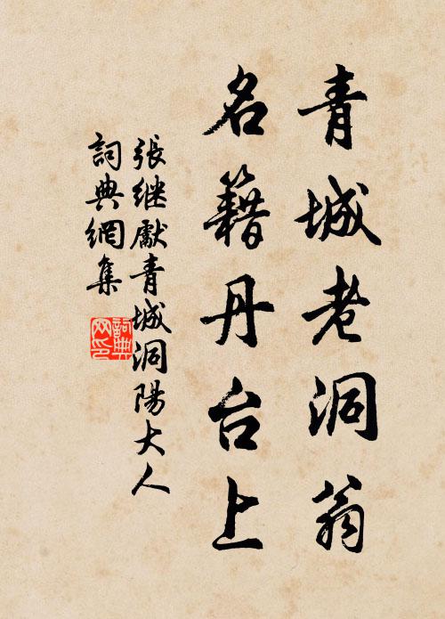 张继先青城老洞翁，名籍丹台上书法作品欣赏
