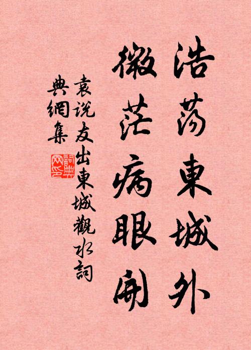 袁说友浩荡东城外，微茫病眼开书法作品欣赏