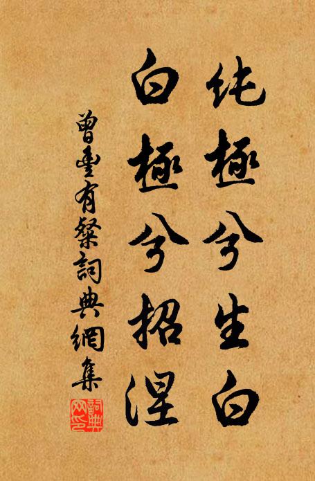 曾丰纯极兮生白,白极兮招涅书法作品欣赏