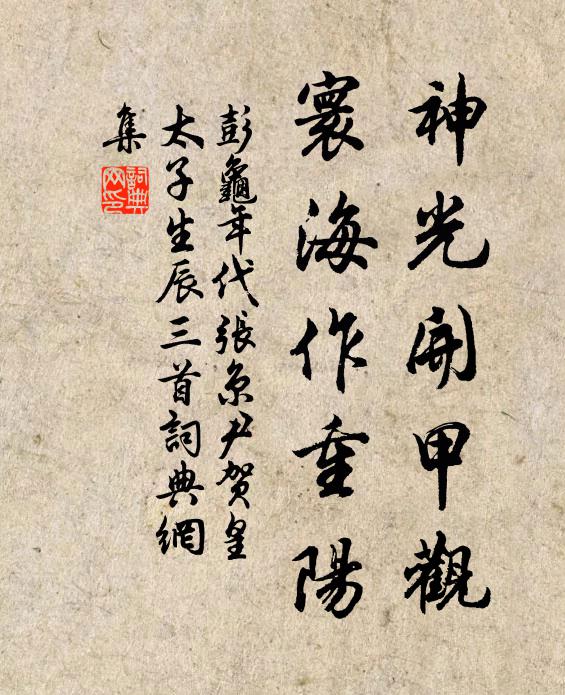 彭龟年神光开甲观，寰海作重阳书法作品欣赏