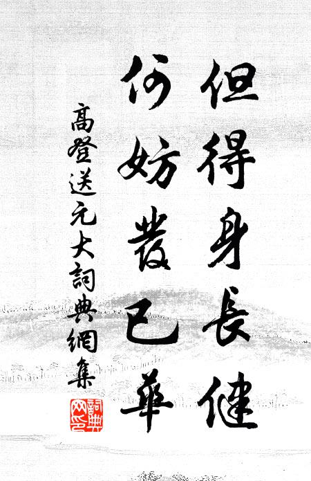 高登但得身长健，何妨发已华书法作品欣赏