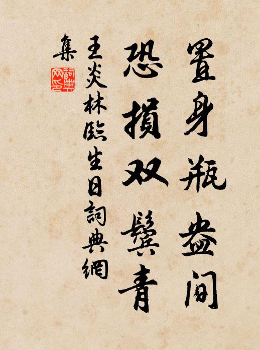 王炎置身瓶盎间，恐损双鬓青书法作品欣赏