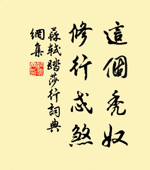 苏轼这个秃奴，修行忒煞书法作品欣赏
