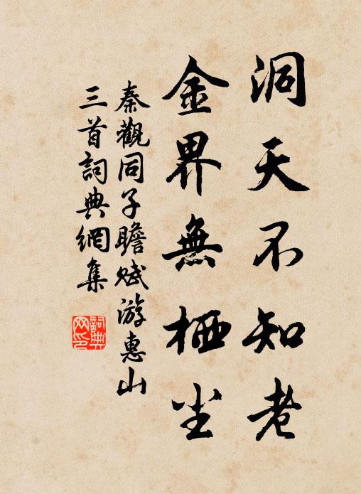 秦观洞天不知老，金界无栖尘书法作品欣赏