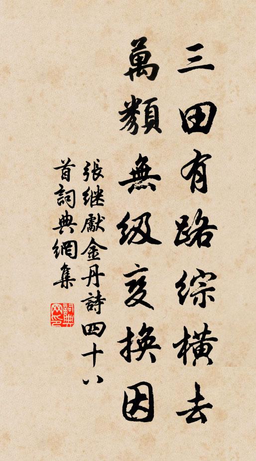 张继先三田有路综横去，万类无级变换因书法作品欣赏