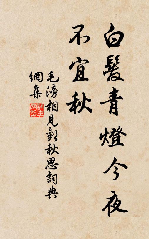 毛滂白发青灯今夜、不宜秋书法作品欣赏
