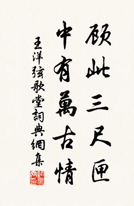 王洋顾此三尺匣，中有万古情书法作品欣赏