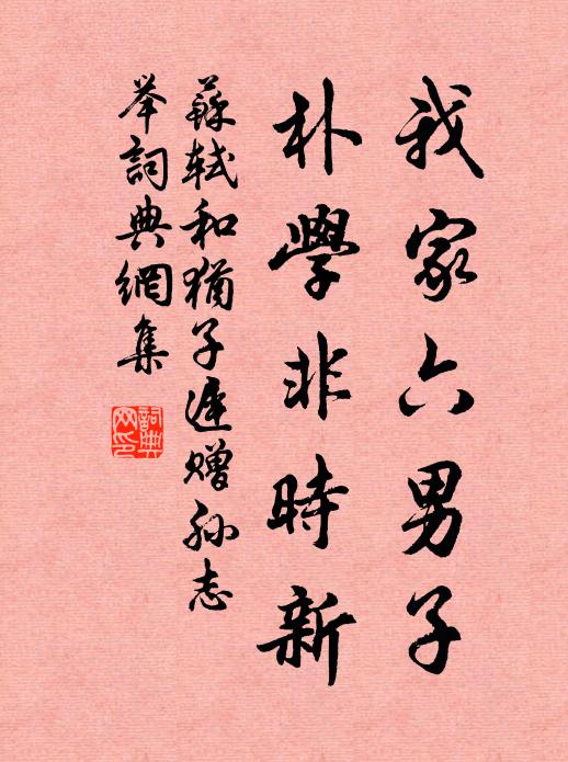 苏轼我家六男子，朴学非时新书法作品欣赏