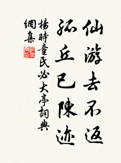 杨时仙游去不返，孤丘已陈迹书法作品欣赏