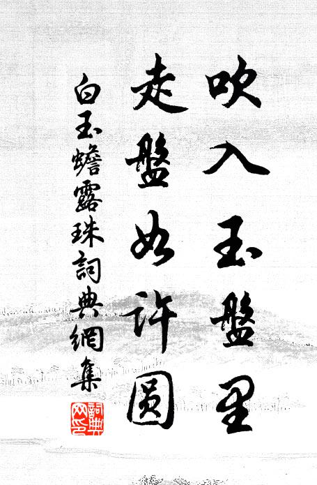白玉蟾吹入玉盘里，走盘如许圆书法作品欣赏