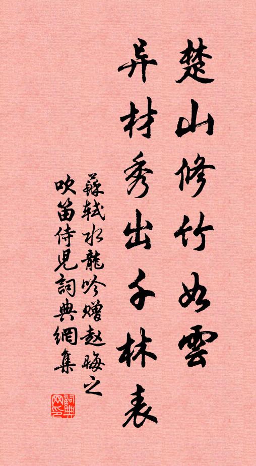 苏轼楚山修竹如云，异材秀出千林表书法作品欣赏