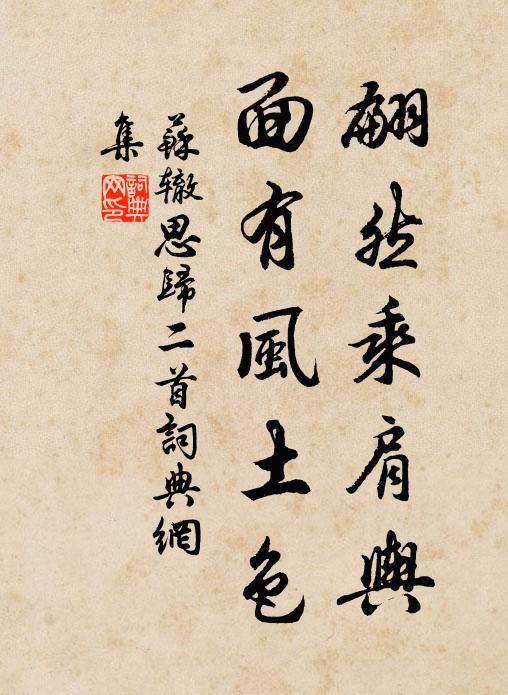 苏辙翩然乘肩舆，面有风土色书法作品欣赏
